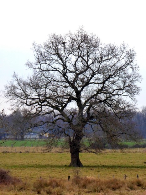 p1030030-copie-copie-2