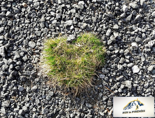 20170226_223931-copie