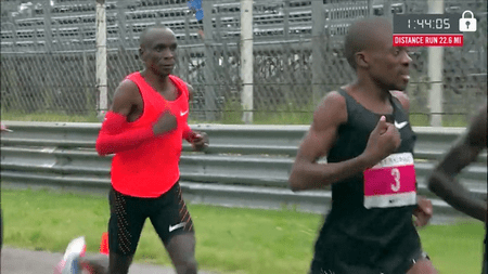 18339027_10213326776228869_134284397_o - Copie.png