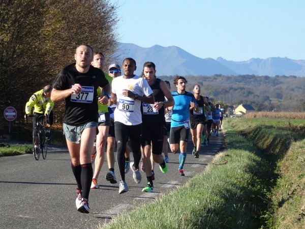 DSC05343 (1024x768).jpg