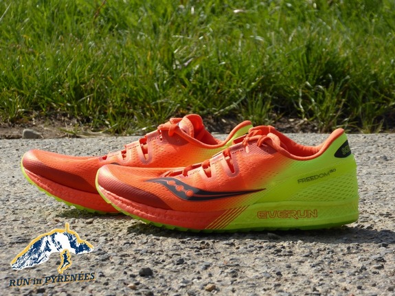 P1030804 - Copie (1024x768)