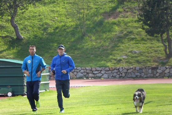 P1050024 (800x538) - Copie