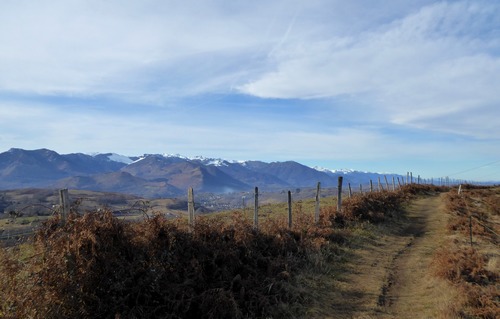 P1030110 - Copie.JPG