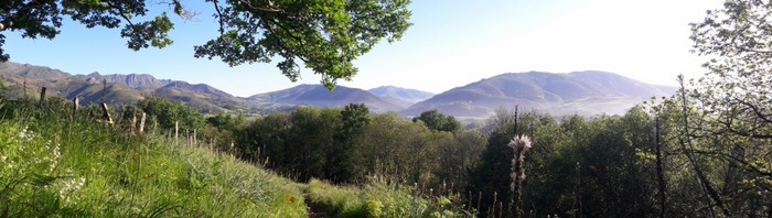 20180511_083856 (1024x290)