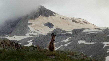 36786461_1020917671414821_5043705573162352640_n