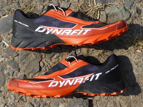 P1070953 - Copie.JPG