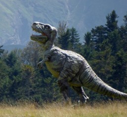 P1080343 - Copie.JPG