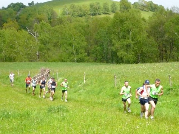 normal_P1010793-w - Copie