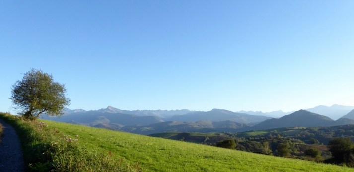 P1060408 - Copie - Copie.JPG