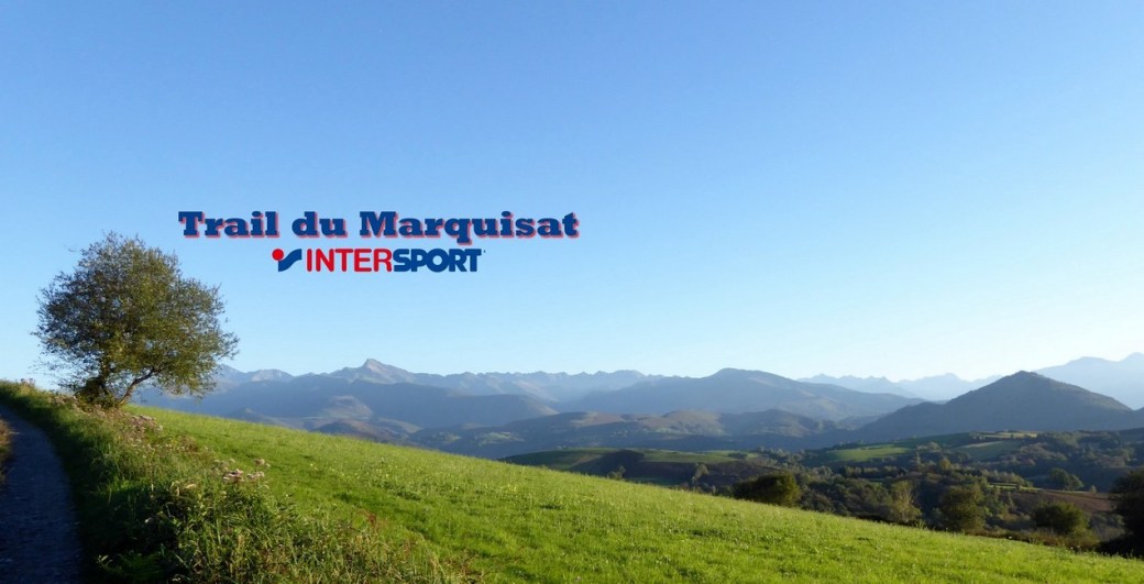 P1060408 - Copie (2).JPG