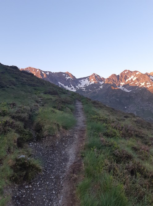 20200530_063921 - Copie